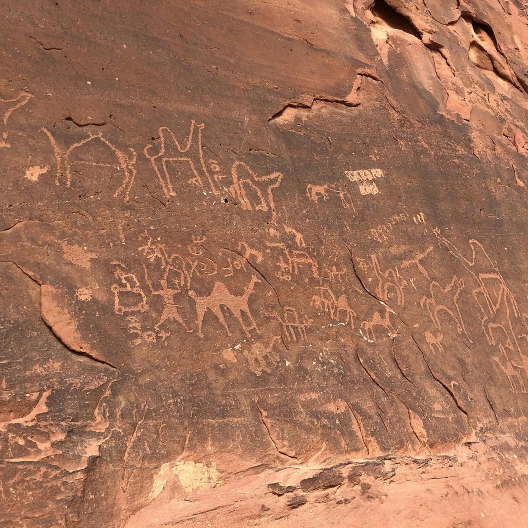 Calm Camp Wadi Rum Exterior foto